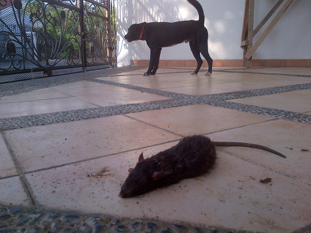 IMG_5095.jpeg