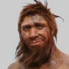 Neanderthal.jpg